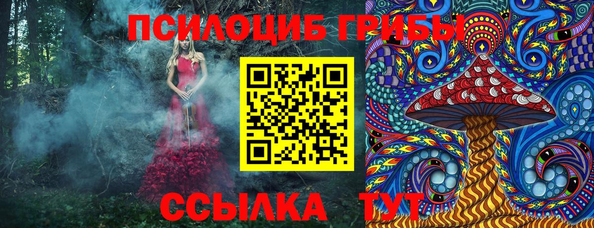 Сальск  Галлюциногенные грибы Psilocybine cubensis  закладки  Вход с VPN 