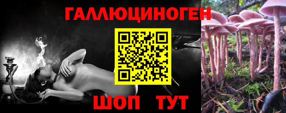Псилоцибиновые грибы GOLDEN TEACHER Сальск